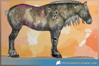 Horse Color:White Spotted Silver Grullo Chinchilla Ice Onyx 