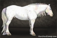 Horse Color:Nacre White Spotted Silver Buckskin Roan Pearl Dun Blanket 