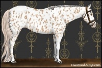 Horse Color:Palomino Near Leopard  and Palomino Tobiano Near Leopard 