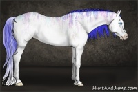 Horse Color:Watercolor Buckskin Ice Roan Onyx Splash