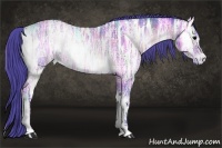 Horse Color:Watercolor Bay Ice Onyx 