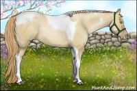 Horse Color:Liver Red Dun Pearl Tobiano Rabicano 