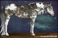 Horse Color:White Spotted Brown Ice Dun Splash 