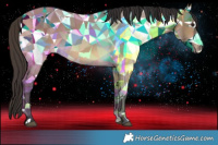 Horse Color:Buckskin Dun 