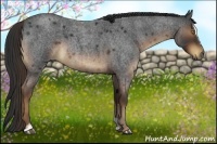 Horse Color:Liver Red Roan Sabino