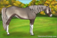 Horse Color:Silver Blue Onyx 