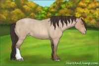 Horse Color:Amber Champagne Roan 