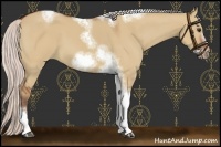 Horse Color:Silver Bay Dun Sabino Tobiano Frame Rabicano