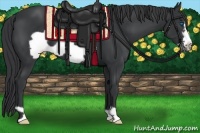 Horse Color:Black Frame 