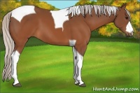Horse Color:Silver Brown Tobiano 