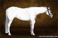 Horse Color:Bay Onyx Splash Tobiano Frame Rabicano 