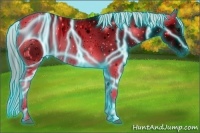 Horse Color:ERROR: UNKNOWN ANOMALY