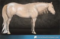 Horse Color:White Spotted Chocolate Perlino