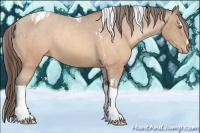 Horse Color:Sable Champagne Sabino Tobiano Appaloosa and Sable Champagne Sabino Tobiano Appaloosa