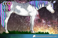 Horse Color:Painted Silver Buckskin Ice Dun Splash Rabicano