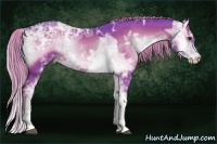 Horse Color:Watercolor Liver Red Onyx Ice Sabino 