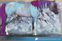 Horse Color:Painted White Spotted Buckskin Roan 