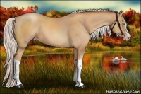 Horse Color:Silver Amber Champagne 