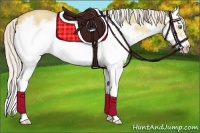 Horse Color:Silver Classic Champagne Dun Splash Frame 