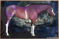 Horse Color:White Spotted Buckskin 