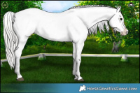 Horse Color:Silver Brown Onyx Sabino Tobiano Appaloosa 