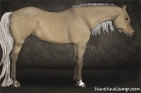 Horse Color:Silver Buckskin Dun