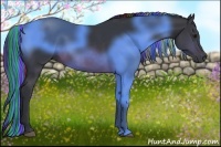 Horse Color:Painted Buckskin