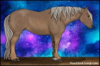 Horse Color:Chocolate Palomino 
