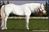 Horse Color:Buckskin Roan Pearl Dun  and Buckskin Roan Pearl Dun Near Leopard 
