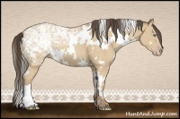 Horse Color:White Spotted Amber Cream Champagne Ice