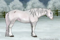 Horse Color:Watercolor Silver Brown Onyx Sabino Splash Frame Appaloosa 