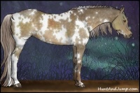 Horse Color:White Spotted Chocolate Palomino