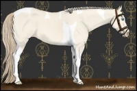 Horse Color:Perlino Dun Tobiano 