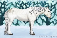 Horse Color:Watercolor White Spotted Silver Brown 