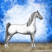 Horse Color:Smoky Black Near Fewspot Rabicano 
