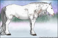 Horse Color:Brown Ice Sabino 