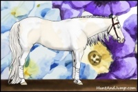 Horse Color:Cremello Dun Tobiano 