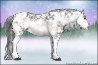 Horse Color:Blue Onyx Ice Sabino