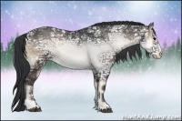 Horse Color:Blue Onyx Ice Sabino