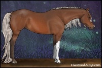 Horse Color:Silver Bay 