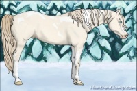 Horse Color:Perlino Dun Tobiano 