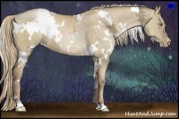 Horse Color:White Spotted Liver Red Dun Ice Pearl 