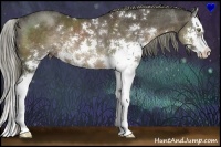 Horse Color:Liver Chestnut Sabino Splash