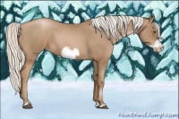 Horse Color:Silver Black Pearl Frame 