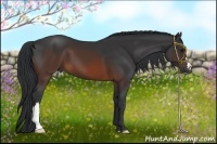 Horse Color:Brown 