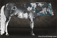 Horse Color:White Spotted Silver Black Chinchilla Ice  and White Spotted Silver Brown Chinchilla Ice Splash 