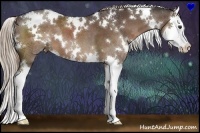 Horse Color:White Spotted Liver Chestnut Splash 