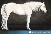 Horse Color:Cremello Dun Tobiano
