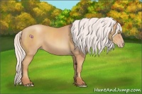 Horse Color:Silver Amber Champagne 