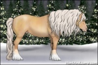 Horse Color:Silver Amber Champagne 